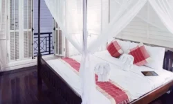 Eco Escapes: Discovering Affordable Green Lodging