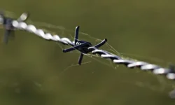 Modern Solutions for Creating Secure Boundaries in Urban Spaces